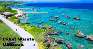 paket wisata jepang okinawa