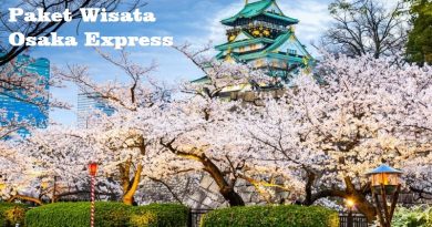 paket osaka express