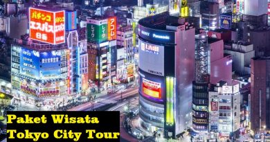 paket tokyo city tour