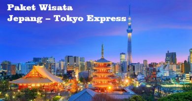 paket tokyo express