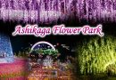 Ashikaga Flower Park