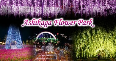 Ashikaga Flower Park