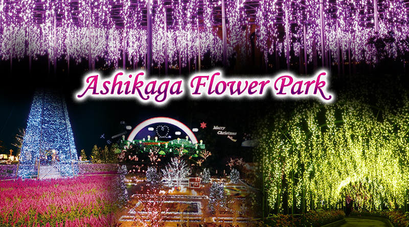 Ashikaga Flower Park